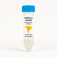 🎉 OFFRE Découverte ! Faites pousser des Girolles Jaunes 🍄 - 15ml = 1,5L de Mycélium 🌱 - Souche 100% Française 🇫🇷