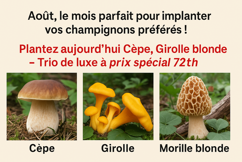 Spores