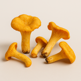 🎉 OFFRE Découverte ! Faites pousser des Girolles Jaunes 🍄 - 15ml = 1,5L de Mycélium 🌱 - Souche 100% Française 🇫🇷